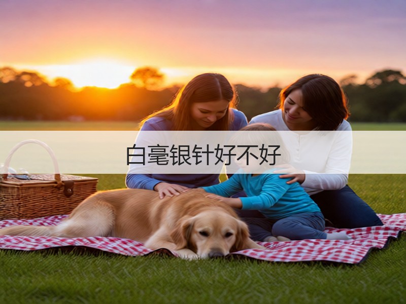 白毫银针好不好(图3) 白毫银针好不好(图3)