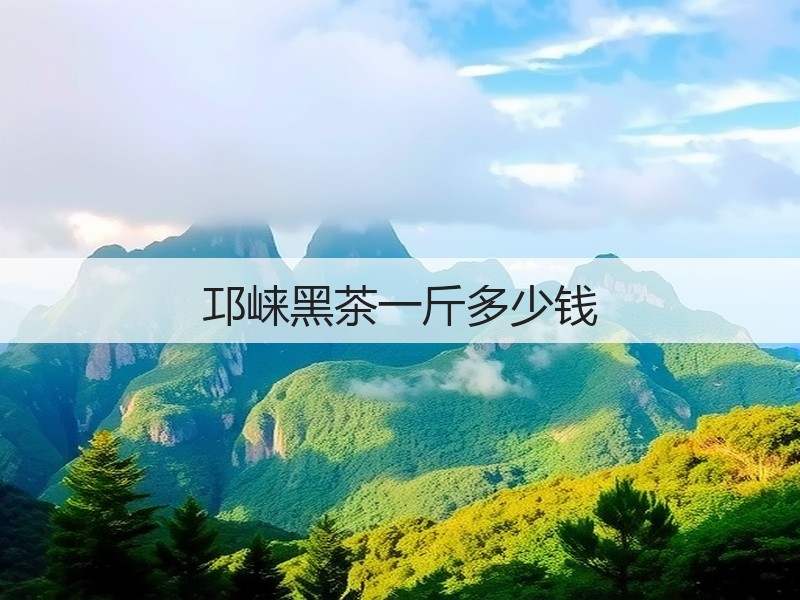 邛崃黑茶一斤多少钱(图3)