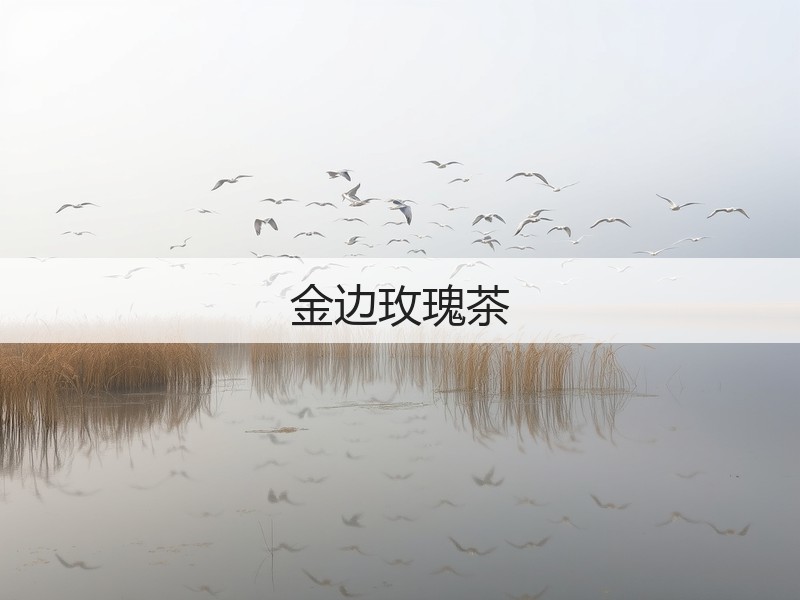 金边玫瑰茶(图3)