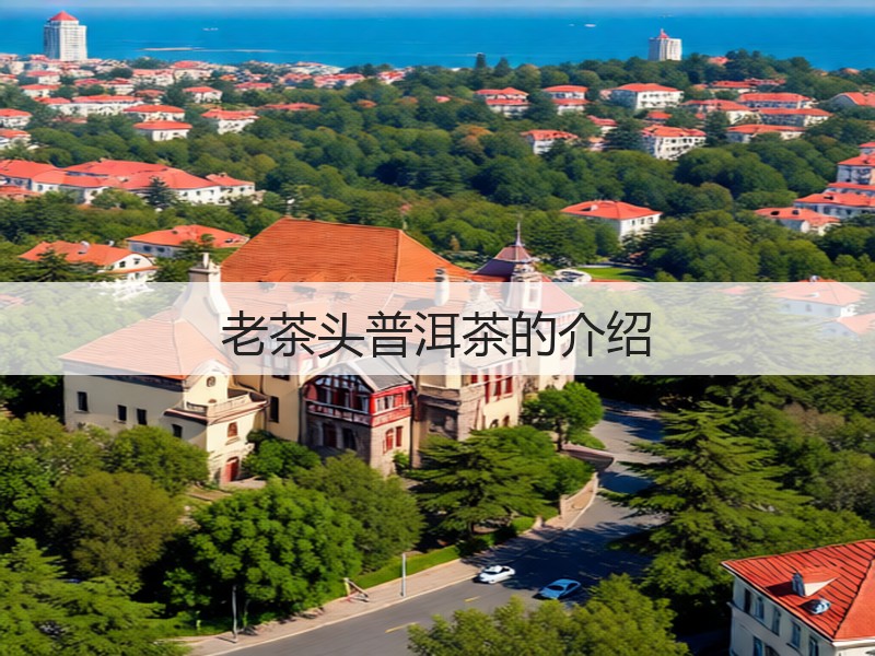 老茶头普洱茶的介绍(图2)
