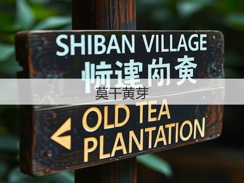 莫干黄芽(图2) 莫干黄芽(图2)