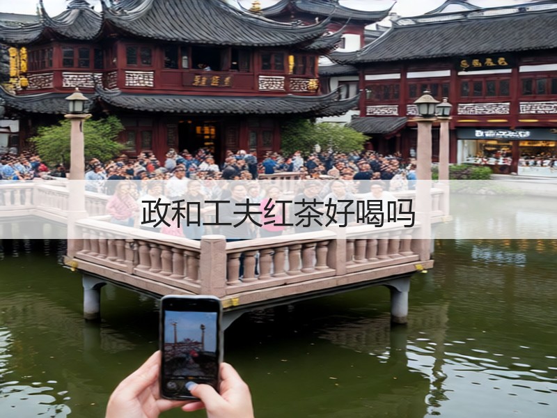 政和工夫红茶好喝吗(图3) 政和工夫红茶好喝吗(图3)