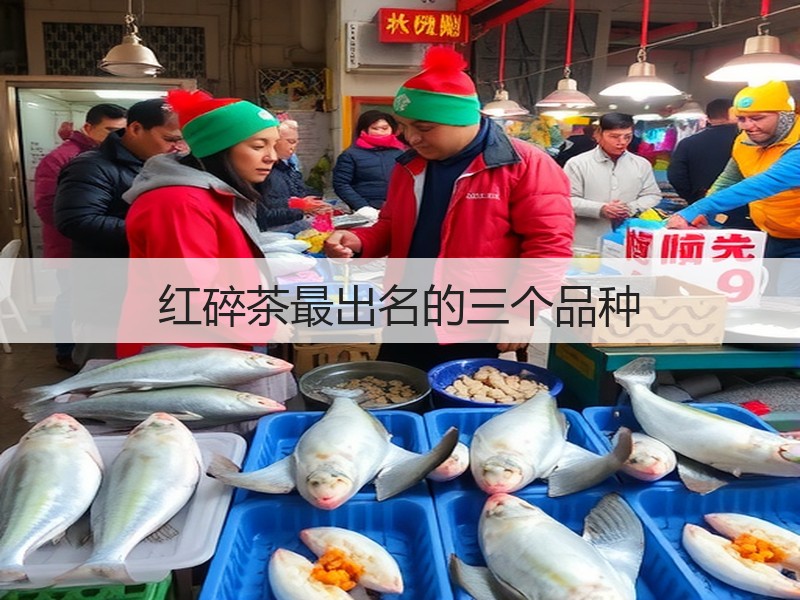 红碎茶最出名的三个品种(图2) 红碎茶最出名的三个品种(图2)