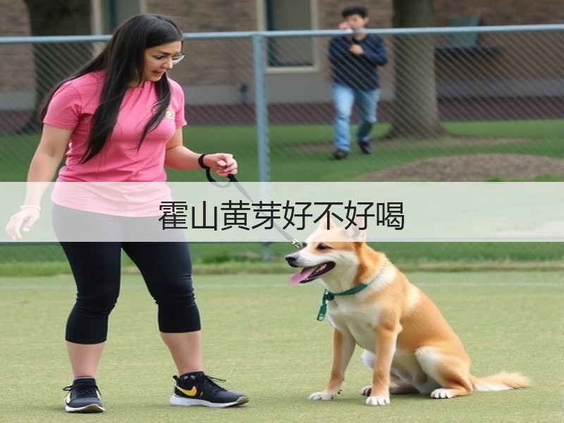 霍山黄芽好不好喝(图2)