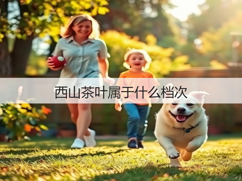 西山茶叶属于什么档次(图2)
