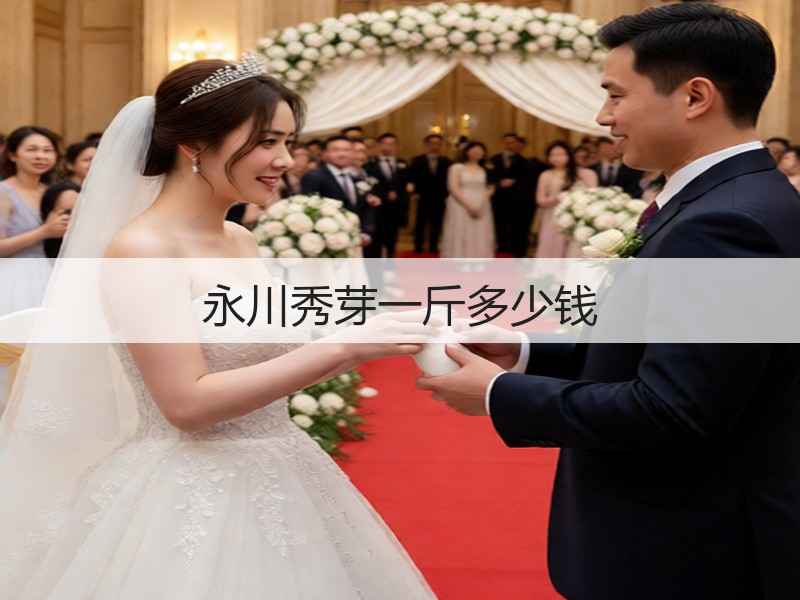 永川秀芽一斤多少钱(图2)