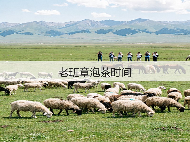 老班章泡茶时间(图3)