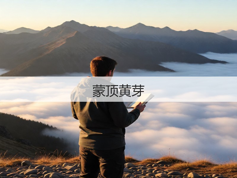 蒙顶黄芽(图2) 蒙顶黄芽(图2)