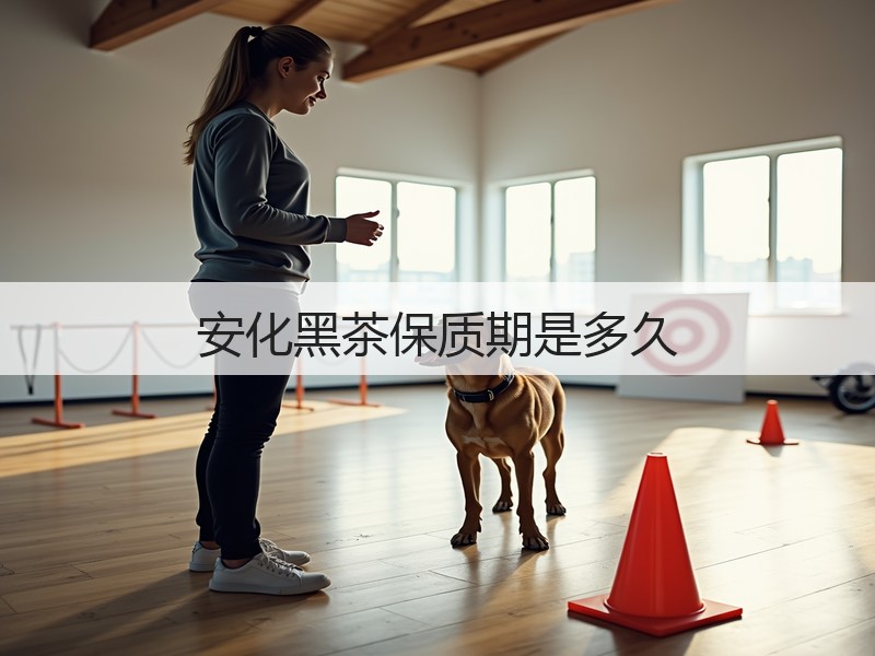 安化黑茶保质期是多久(图3)
