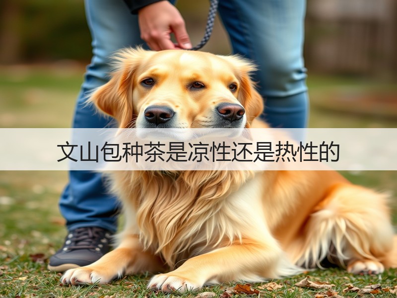 文山包种茶是凉性还是热性的(图3) 文山包种茶是凉性还是热性的(图3)