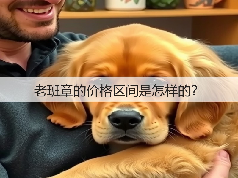 老班章的价格区间是怎样的?(图2) 老班章的价格区间是怎样的?(图2)