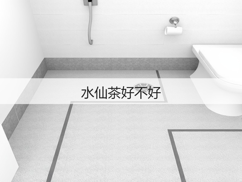水仙茶好不好(图2) 水仙茶好不好(图2)