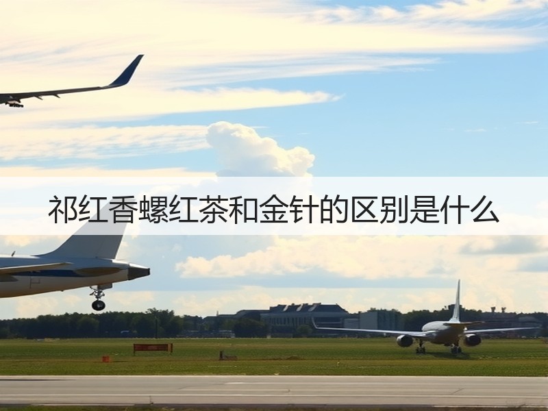 祁红香螺红茶和金针的区别是什么(图3) 祁红香螺红茶和金针的区别是什么(图3)