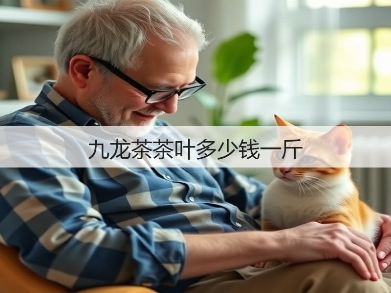 九龙茶茶叶多少钱一斤(图2) 九龙茶茶叶多少钱一斤(图2)