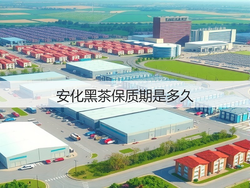 安化黑茶保质期是多久(图2)