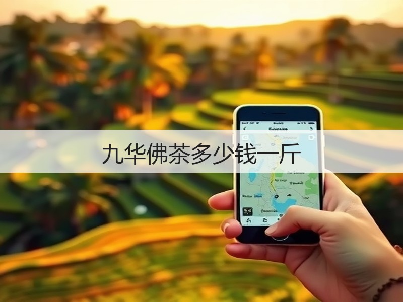 九华佛茶多少钱一斤(图3)