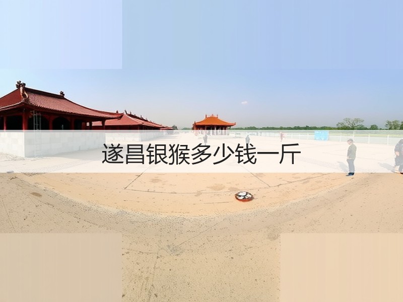 遂昌银猴多少钱一斤(图2)