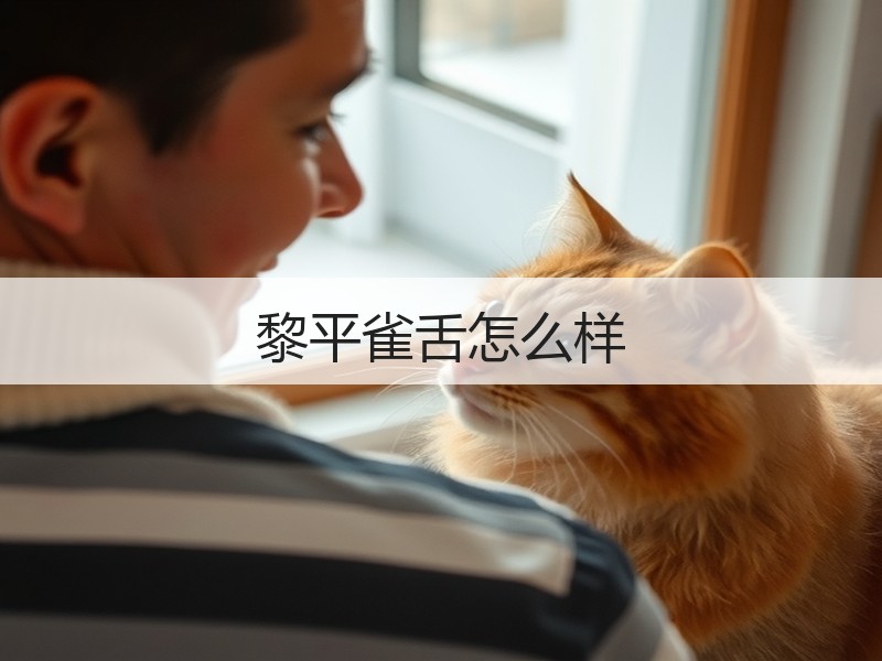 黎平雀舌怎么样