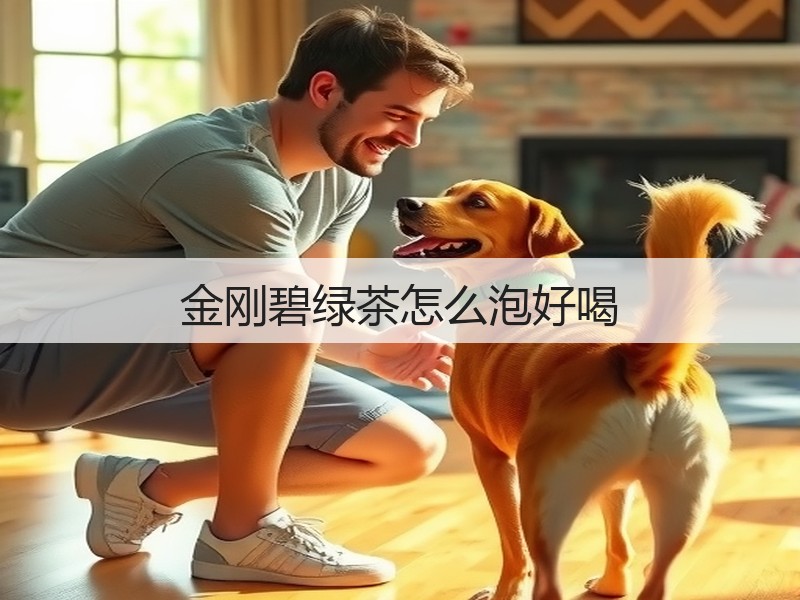 金刚碧绿茶怎么泡好喝(图2) 金刚碧绿茶怎么泡好喝(图2)