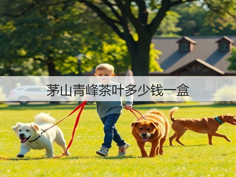 茅山青峰茶叶多少钱一盒(图3)