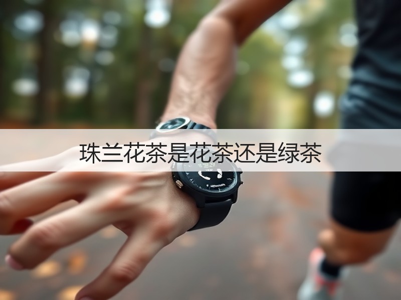 珠兰花茶是花茶还是绿茶(图3) 珠兰花茶是花茶还是绿茶(图3)