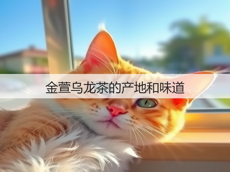 金萱乌龙茶的产地和味道(图3)