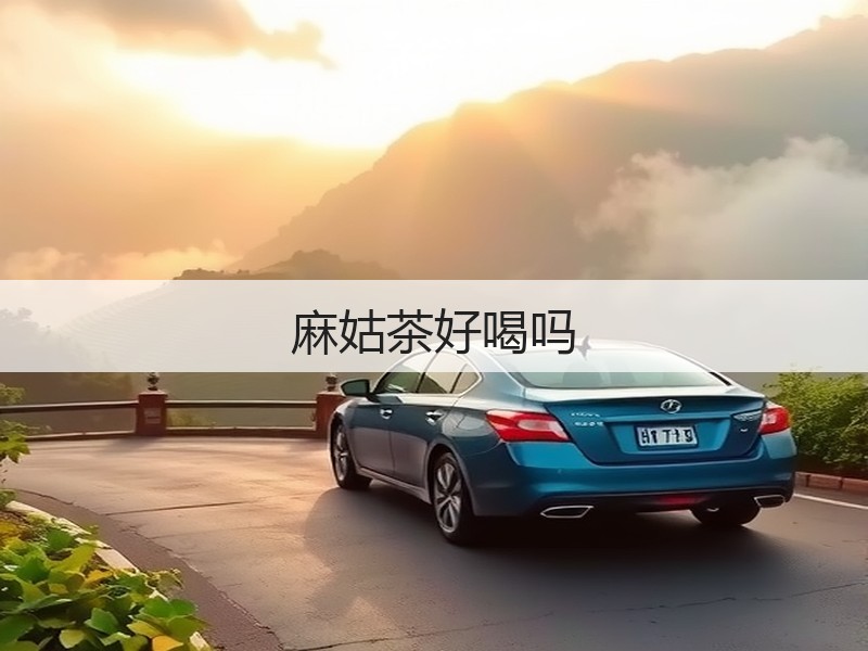 麻姑茶好喝吗(图2)