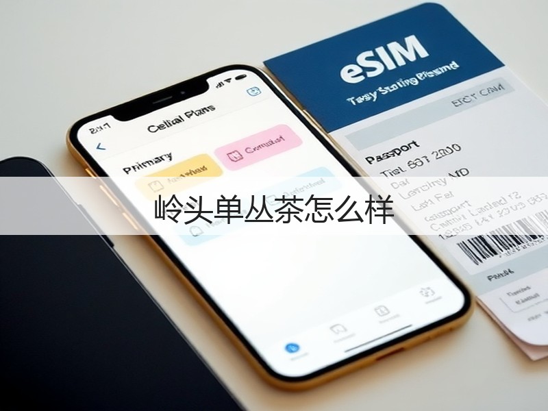 岭头单丛茶怎么样(图2) 岭头单丛茶怎么样(图2)