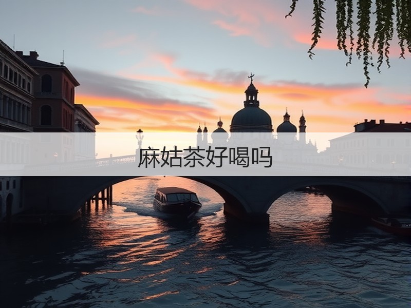 麻姑茶好喝吗(图3)