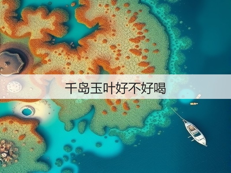 千岛玉叶好不好喝(图3)