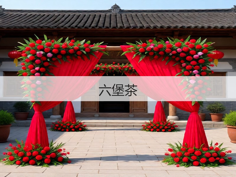 六堡茶(图2) 六堡茶(图2)