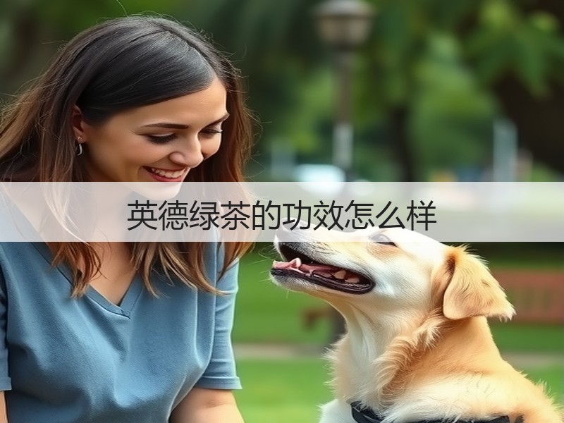 英德绿茶的功效怎么样(图3)