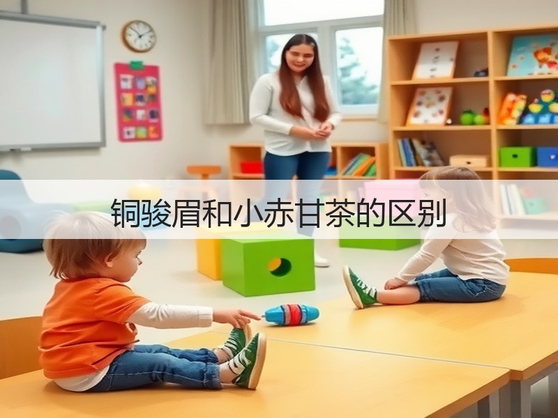 铜骏眉和小赤甘茶的区别(图3)