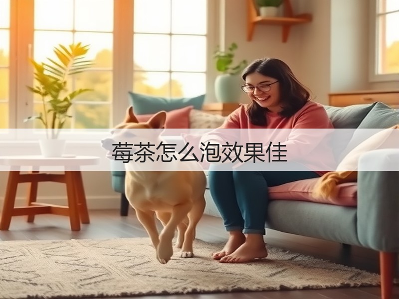 莓茶怎么泡效果佳(图3) 莓茶怎么泡效果佳(图3)