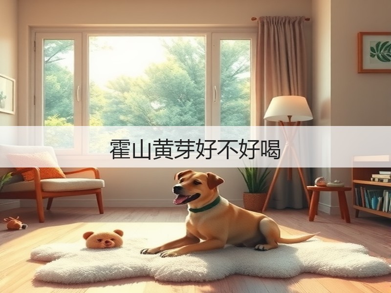 霍山黄芽好不好喝(图3)