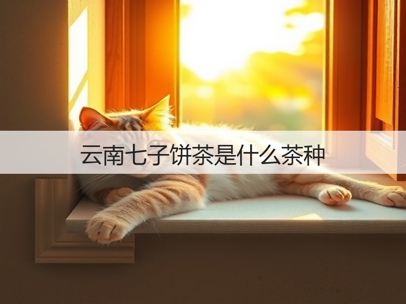 云南七子饼茶是什么茶种(图2) 云南七子饼茶是什么茶种(图2)