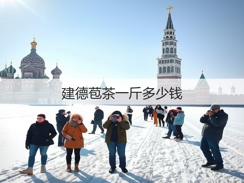 建德苞茶一斤多少钱(图2)