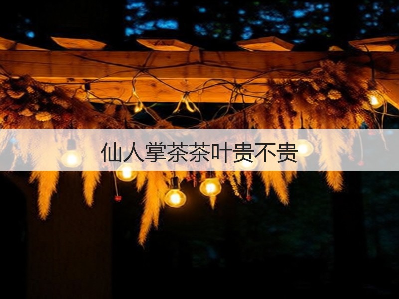 仙人掌茶茶叶贵不贵(图2) 仙人掌茶茶叶贵不贵(图2)