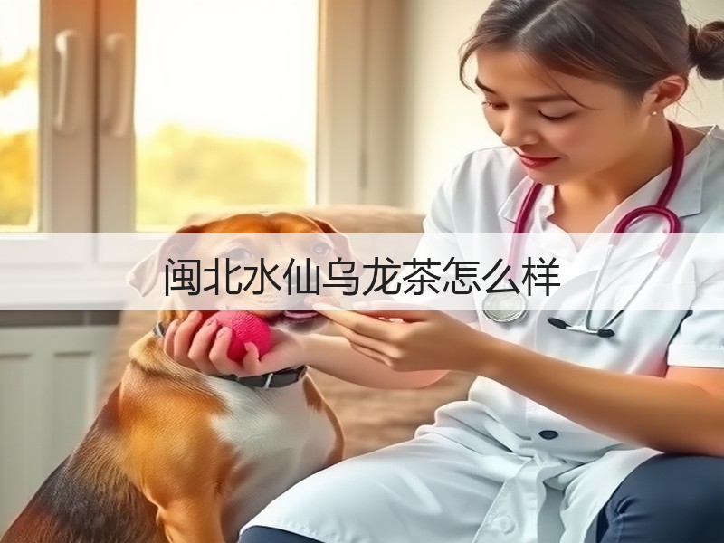 闽北水仙乌龙茶怎么样(图2) 闽北水仙乌龙茶怎么样(图2)