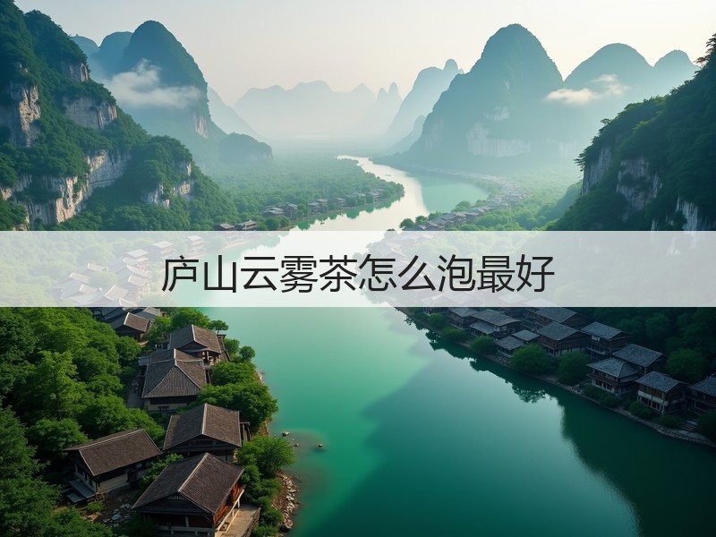 庐山云雾茶怎么泡最好(图3)