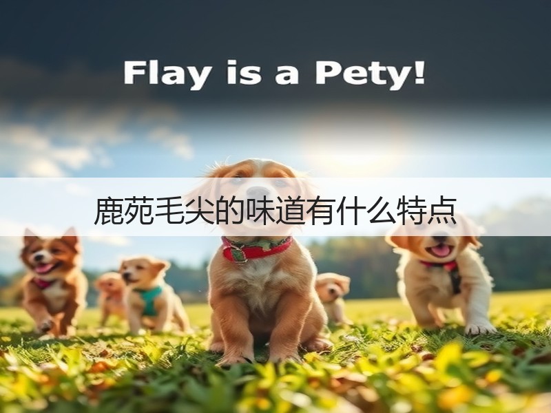 鹿苑毛尖的味道有什么特点(图2)