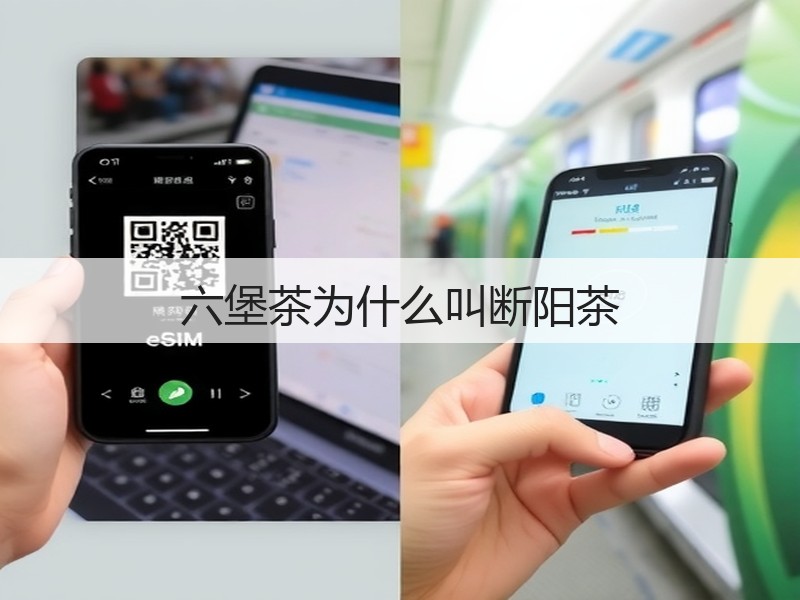 六堡茶为什么叫断阳茶(图2)