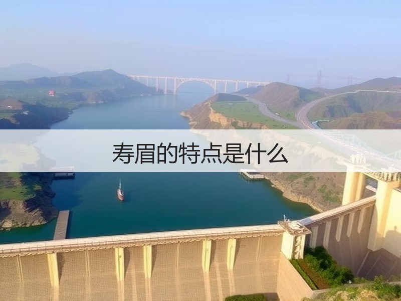 寿眉的特点是什么(图3) 寿眉的特点是什么(图3)