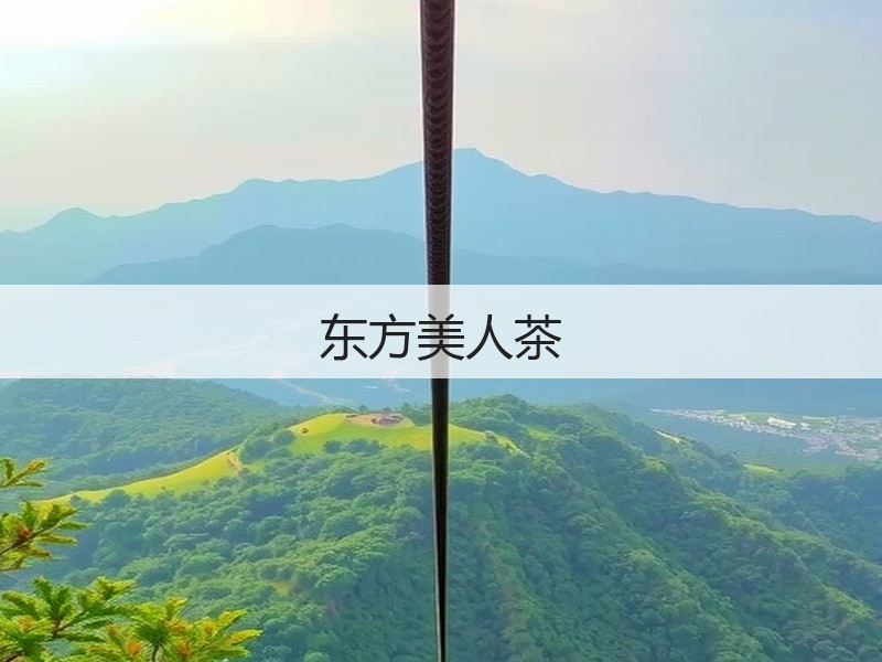 东方美人茶(图3) 东方美人茶(图3)