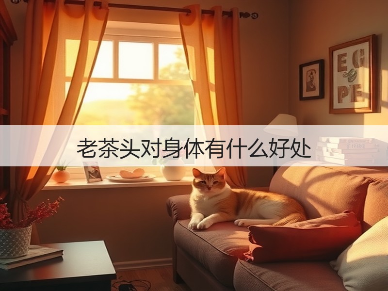 老茶头对身体有什么好处(图2)