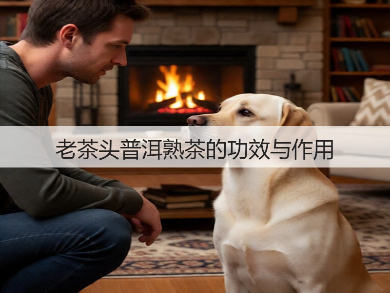 老茶头普洱熟茶的功效与作用(图2) 老茶头普洱熟茶的功效与作用(图2)