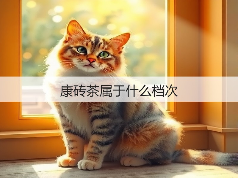 康砖茶属于什么档次(图3) 康砖茶属于什么档次(图3)