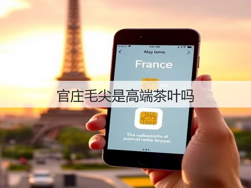 官庄毛尖是高端茶叶吗(图3)