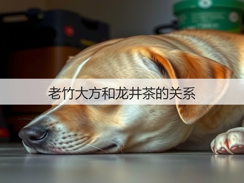 老竹大方和龙井茶的关系(图2)