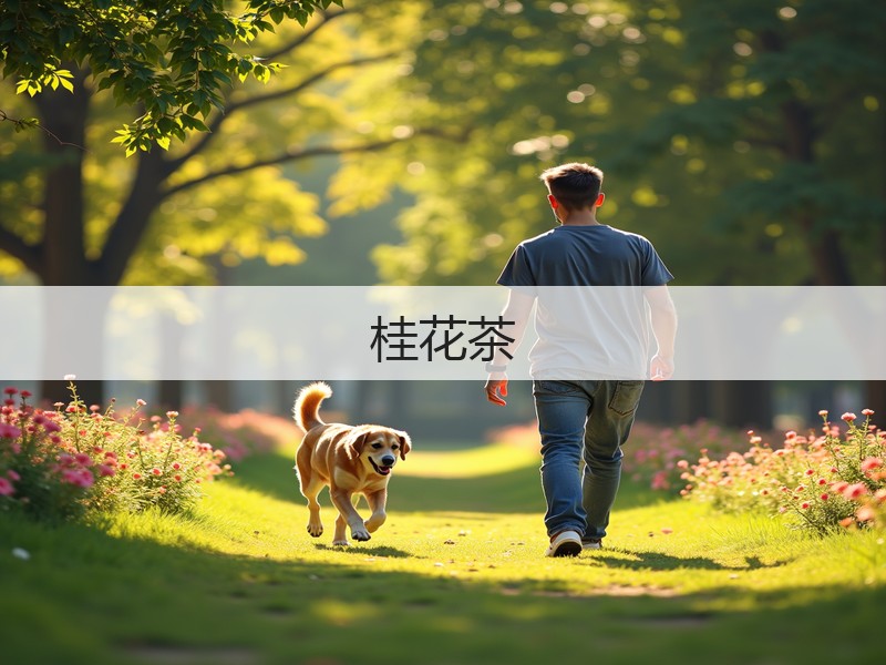 桂花茶(图3) 桂花茶(图3)